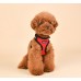 Pettorina Pettorine Puppia SOFT SUPERIOR HARNESS A