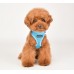 Pettorina Pettorine Puppia SOFT SUPERIOR HARNESS A