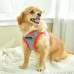 Pettorina Pettorine Puppia BLAKE HARNESS B