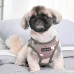 Pettorina Pettorine Puppia LANCE HARNESS B