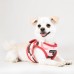 Pettorina Pettorine Puppia LANCE HARNESS B