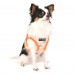 Pettorina Pettorine Puppia VINCA HARNESS B