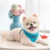 Pettorina Pettorine Puppia SOFT HARNESS E 