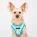 Pettorina Pettorine Puppia FETE HARNESS A