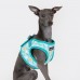 Pettorina Pettorine Puppia FETE HARNESS B