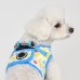 Pettorina Pettorine Puppia FETE HARNESS B