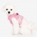 Pettorina Pettorine Puppia JAYLEN HARNESS B