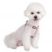 Pettorina Pettorine Puppia LILAC HARNESS X PLUS