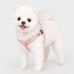 Pettorina Pettorine Puppia LILAC HARNESS X PLUS