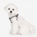 Pettorina Pettorine Puppia EGON HARNESS X PLUS