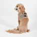 Pettorina Pettorine Puppia LUCAS HARNESS B