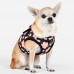 Pettorina Pettorine Puppia BACOPAS HARNESS B