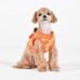 Pettorina Pettorine Puppia BACOPAS HARNESS B