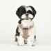 Pettorina Pettorine Puppia LUCAS HARNESS C