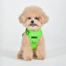 Pettorina Pettorine Puppia NEON HARNESS H