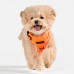 Pettorina Pettorine Puppia NEON HARNESS H