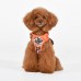 Pettorina Pettorine Puppia ABSTRACT HARNESS H