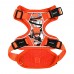 Pettorina Pettorine Puppia ABSTRACT HARNESS H