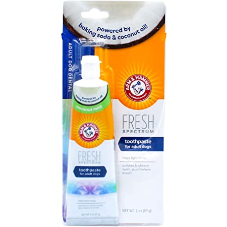 Arm & Hammer Fresh Coconut Mint Toothpaste Dogs