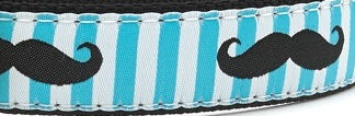 Mustache Cat Harness and Lead set