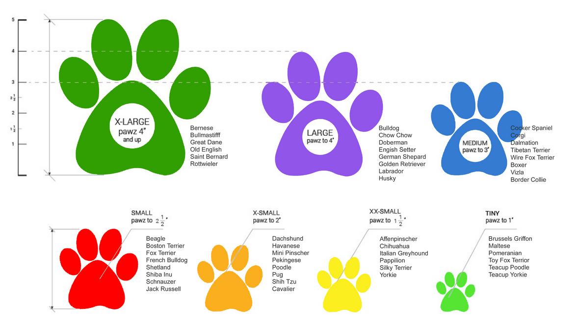 Pawz size chart