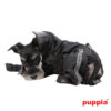 Puppiass14FRaceTrackRaincoat 5