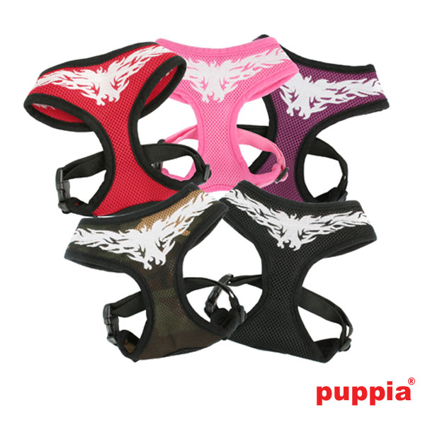 Puppiass14HFlame