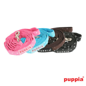DOTTY LEAD