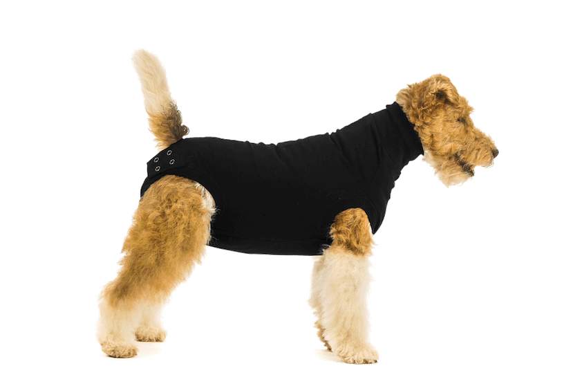 SUITICAL Recovery Suit for Dogs Black