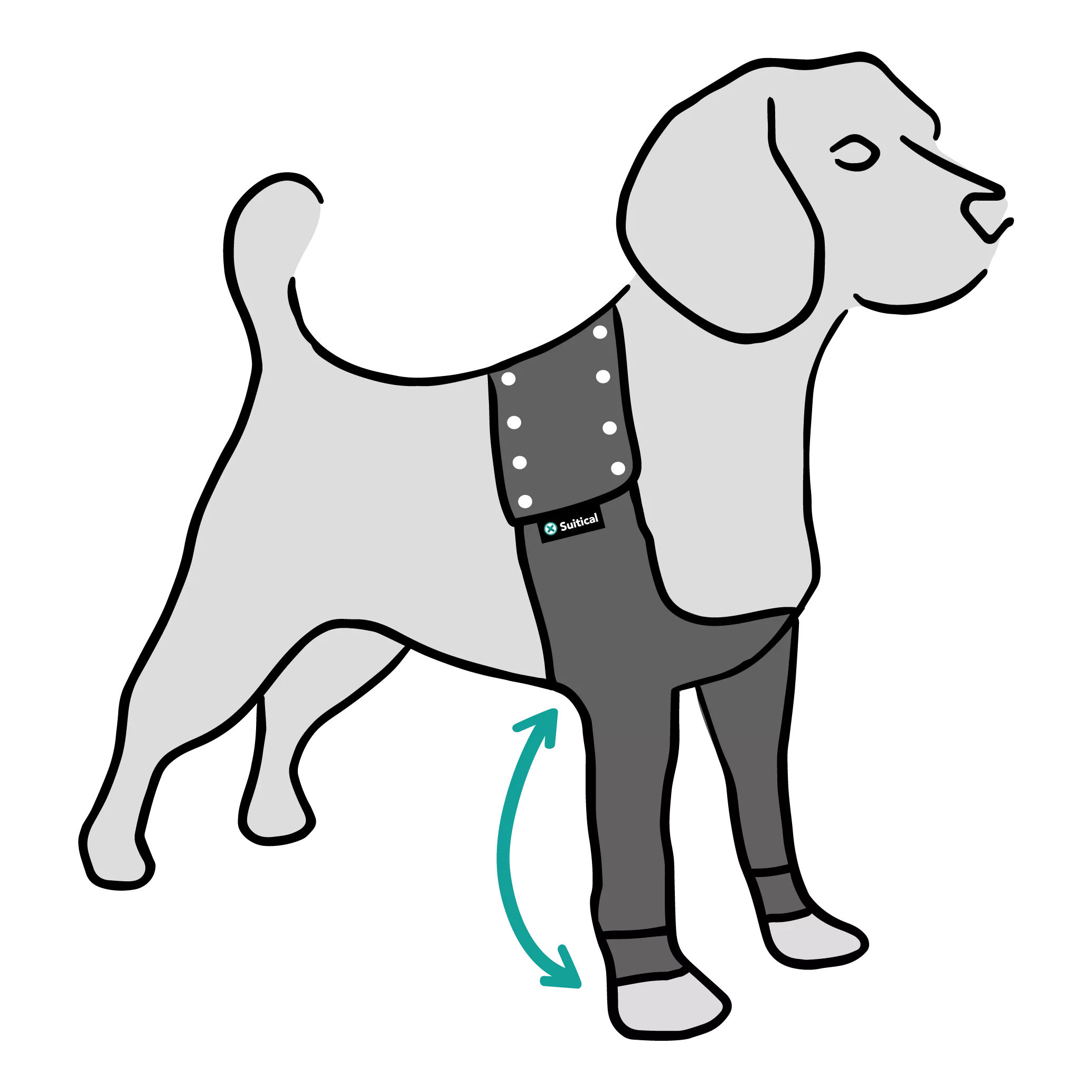 SUITICAL_MEASURE_RECOVERY-SLEEVE-DUO-DOG_MEDIUM_02_2020_V01