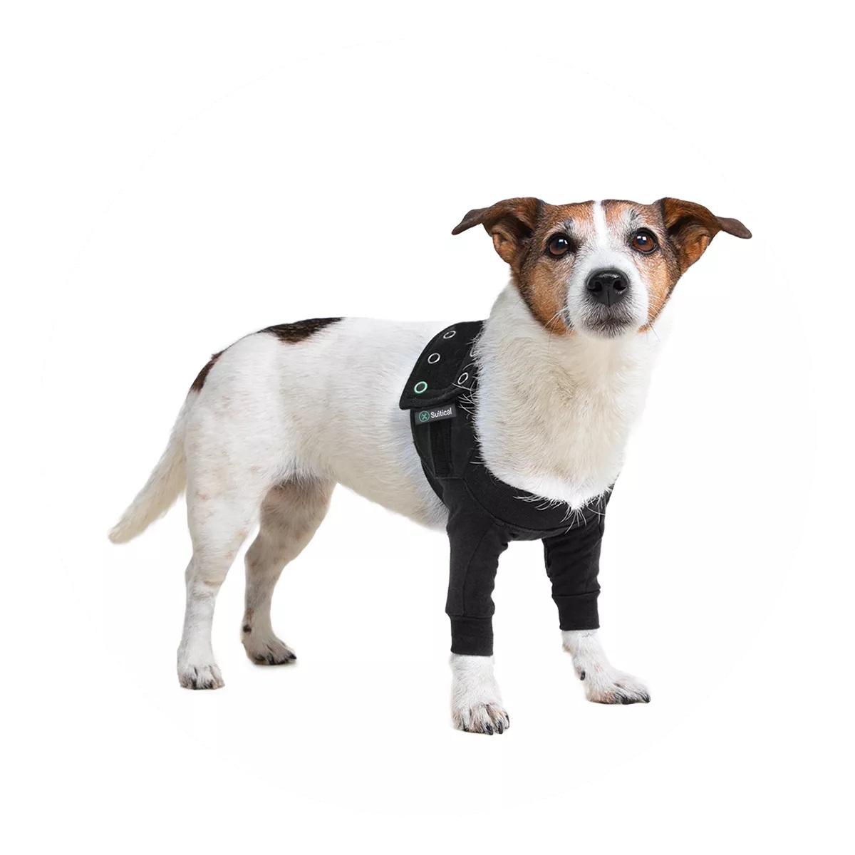 Recovery Double Sleeves –  Black – Tutore arto per cane