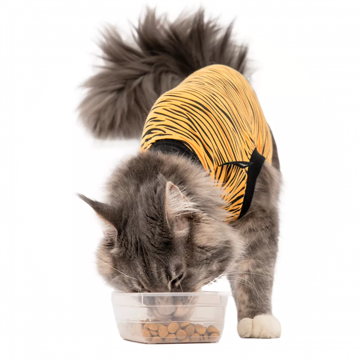 SUITICAL_PRODUCT-WHITE-BG_RECOVERY-SUIT-CAT_TIGER_07_2022_V01-0x1200-c-default