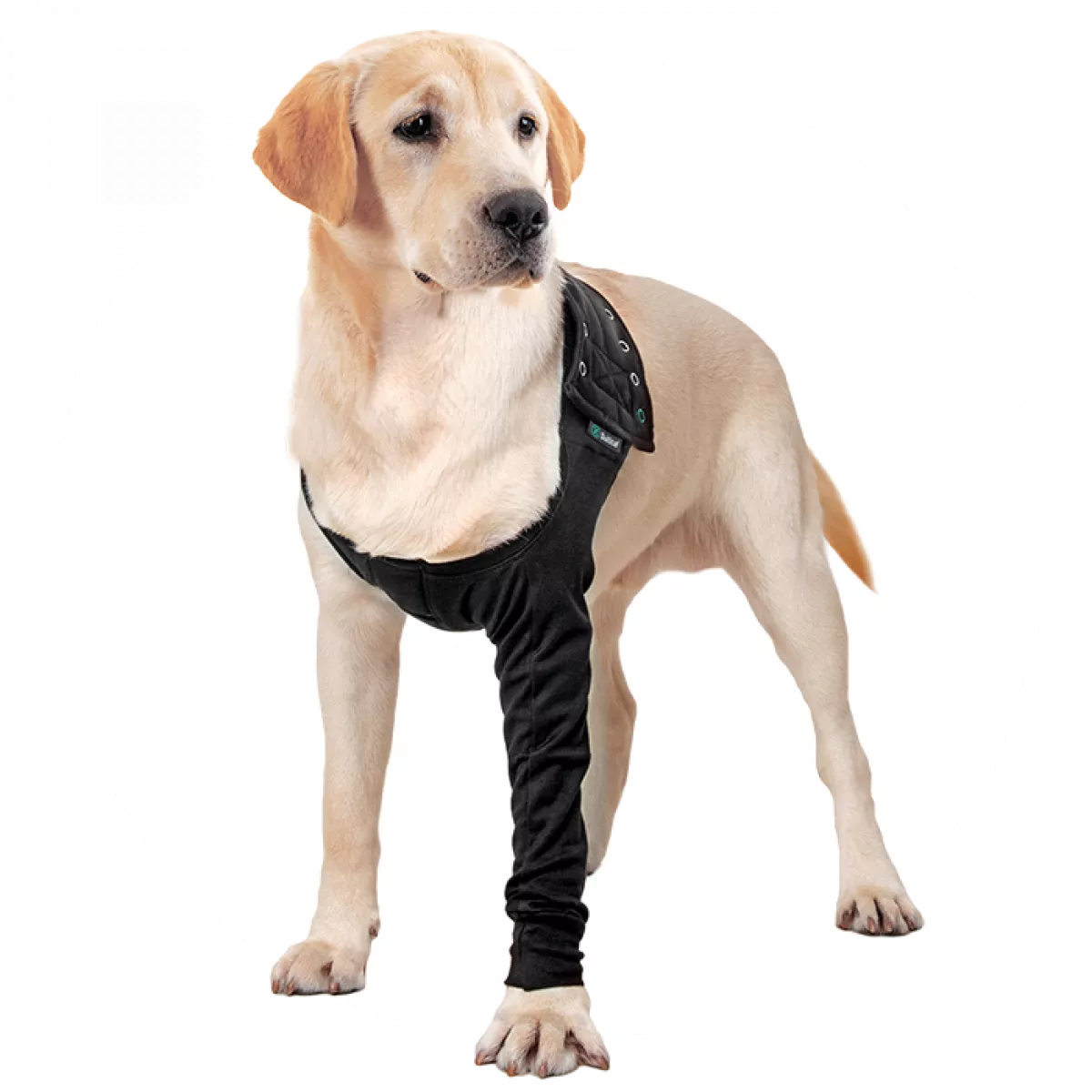 SUITICAL Recovery Sleeve – Tutore arto per cane