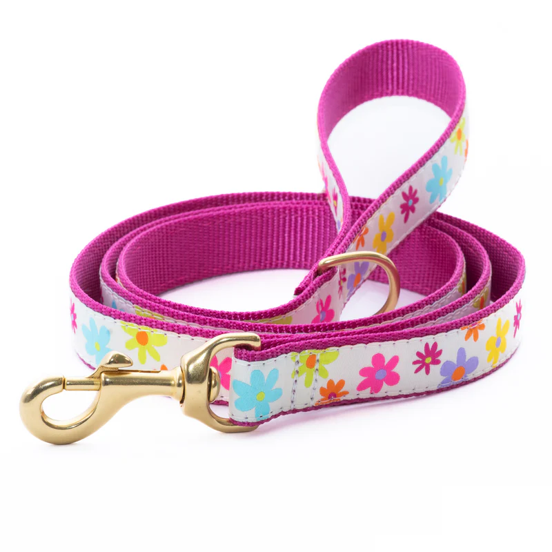 SpringFeverDogLead_800x