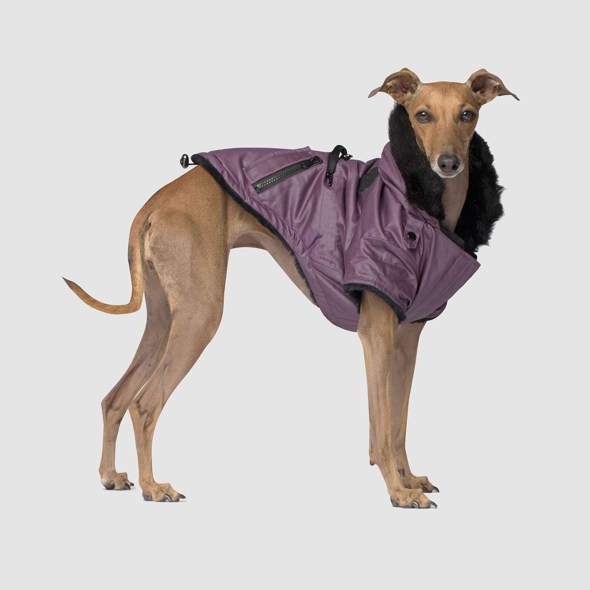 Urban Wax Parka Purple