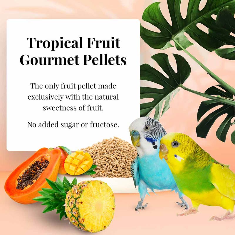 az-72630-tropical-fruit-gourmet-pellets-parakeet-budgie-01-0720