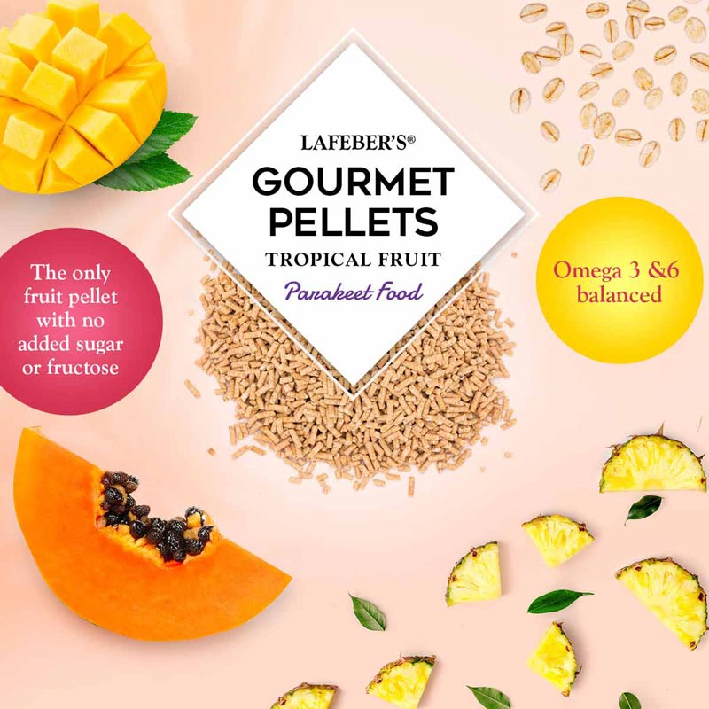 az-72630-tropical-fruit-gourmet-pellets-parakeet-budgie-03-0720