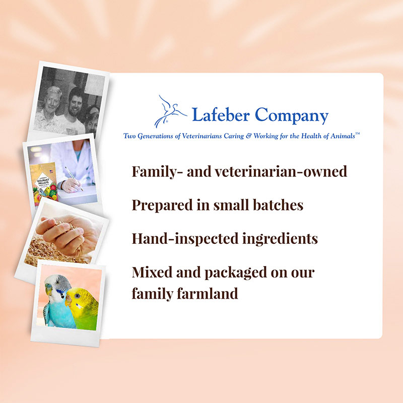 az-72630-tropical-fruit-gourmet-pellets-parakeet-budgie-06-0720