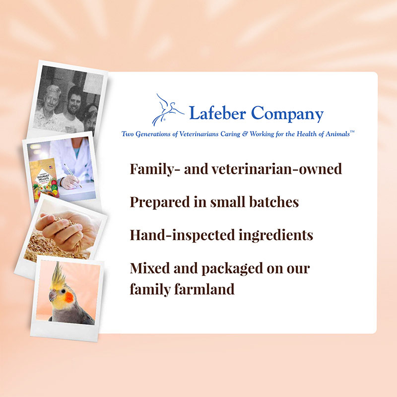 az-72640-tropical-fruit-gourmet-pellets-cockatiel-06-0720