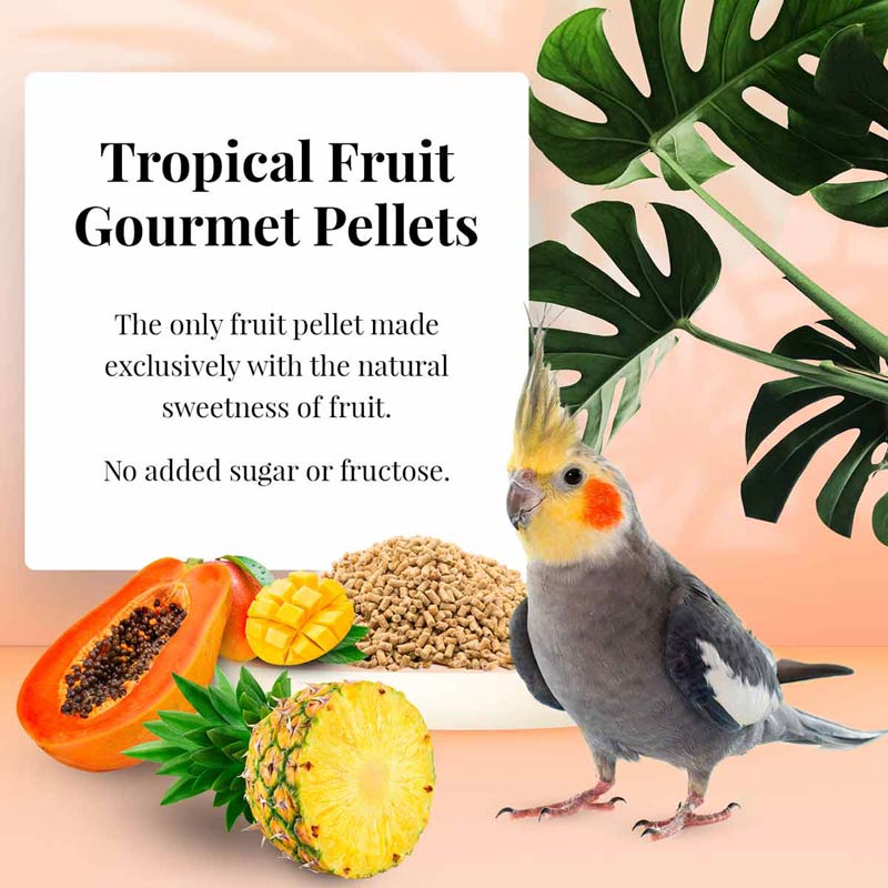 AZ-72642-tropical-fruit-gourmet-pellets-cockatiel-01-0720
