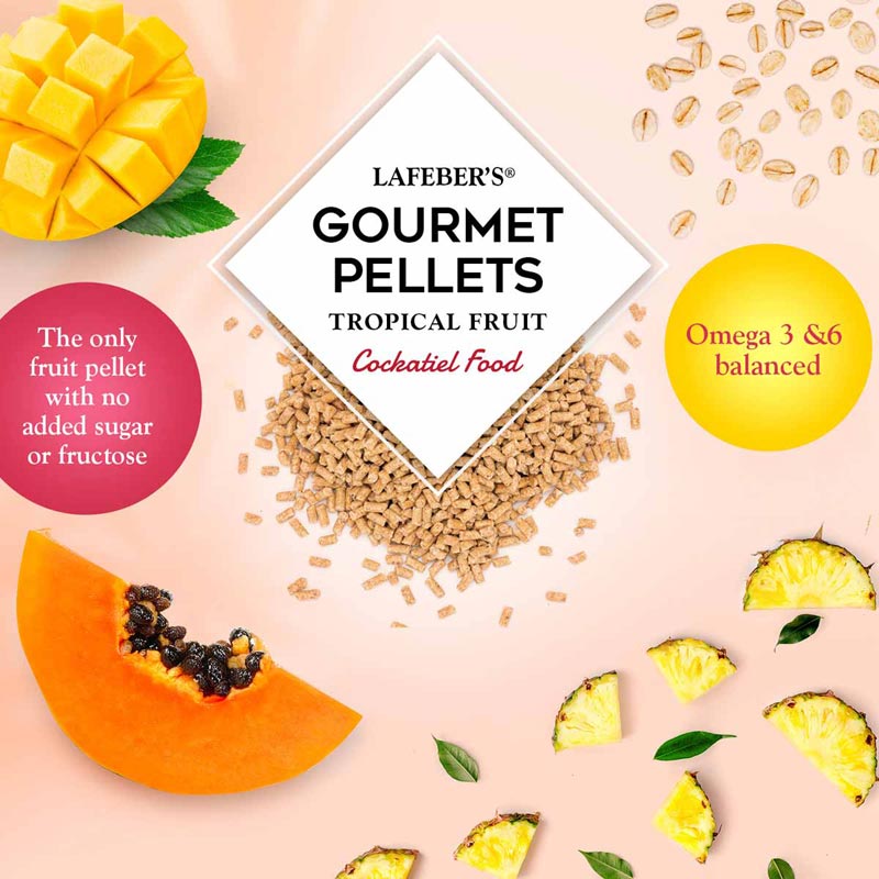 AZ-72642-tropical-fruit-gourmet-pellets-cockatiel-03-0720