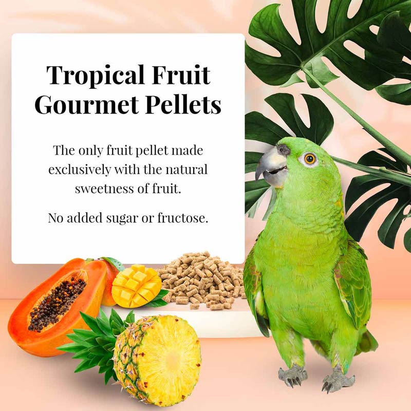 az-72650-tropical-fruit-gourmet-pellets-parrot-01-0720