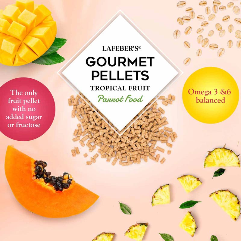 az-72650-tropical-fruit-gourmet-pellets-parrot-03-0720