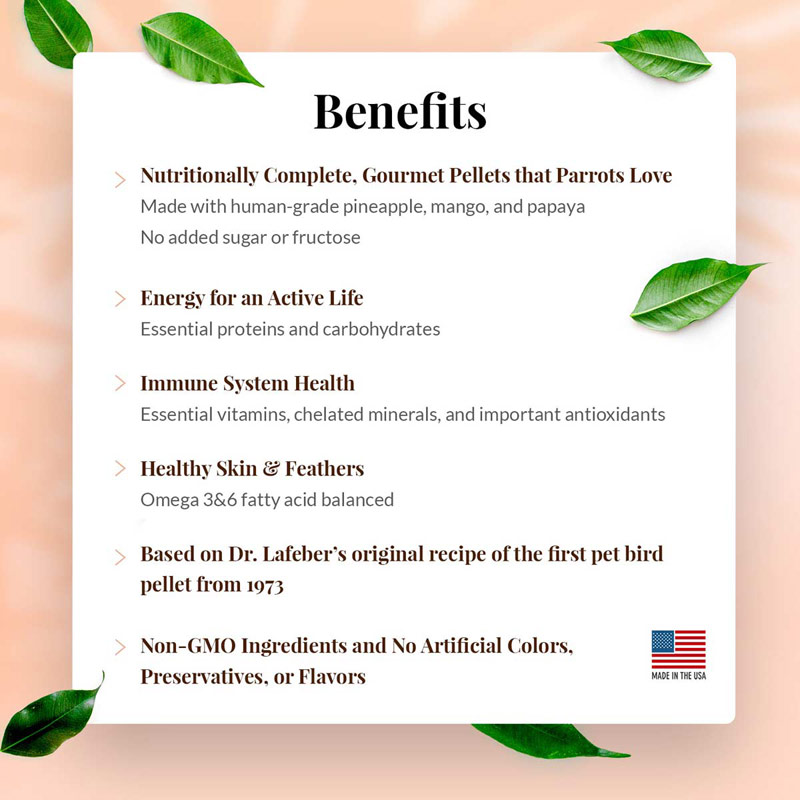 AZ-72652-tropical-fruit-gourmet-pellets-parrot-02-0720
