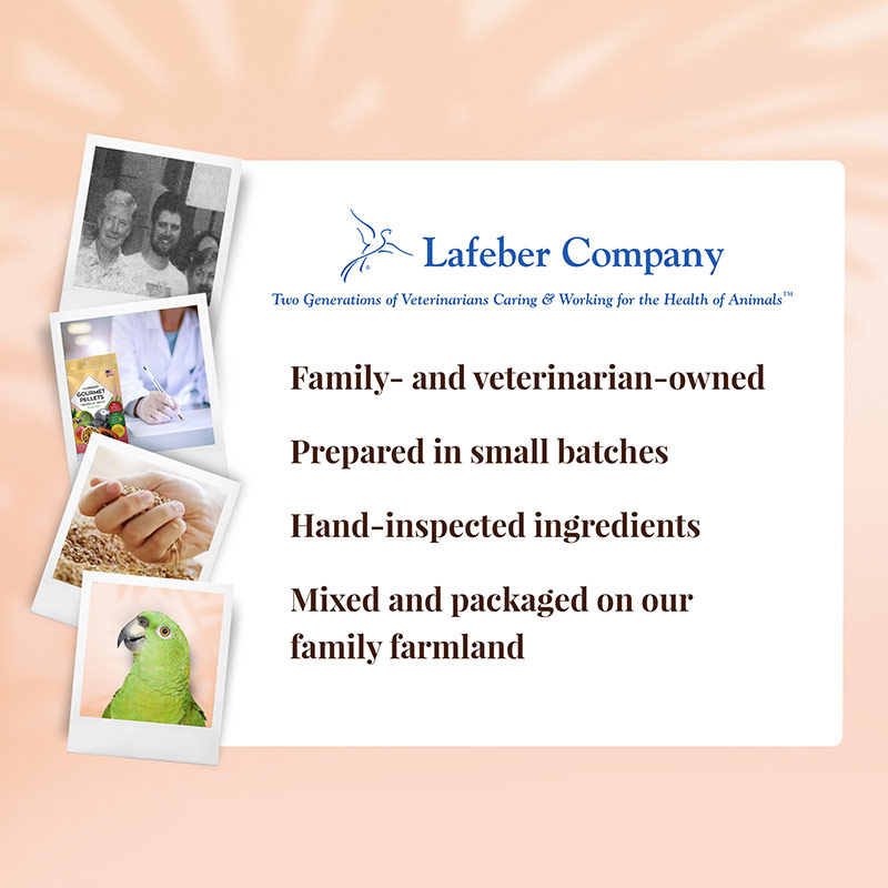 AZ-72652-tropical-fruit-gourmet-pellets-parrot-06-0720