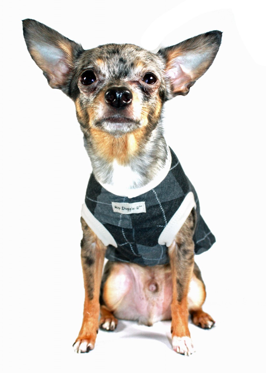 00-Grey Argyle Tank03 Top-475