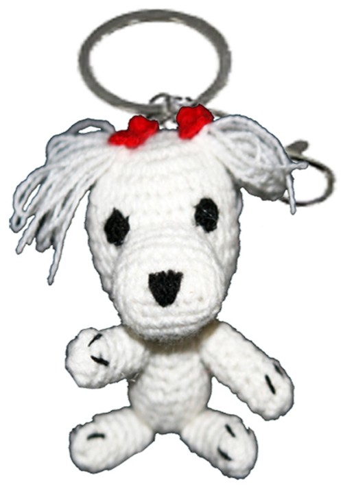 00DogStarMaltese