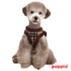 00TESSELL HARNESS Bbrown3