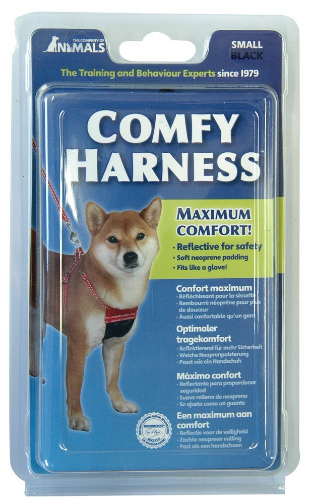 714ocUQuNkL._SL1000_