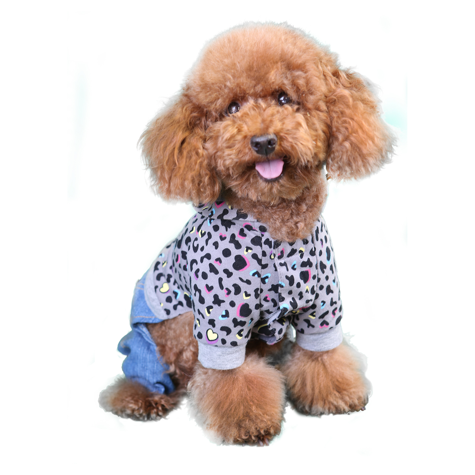 Brayden denim overall-dog